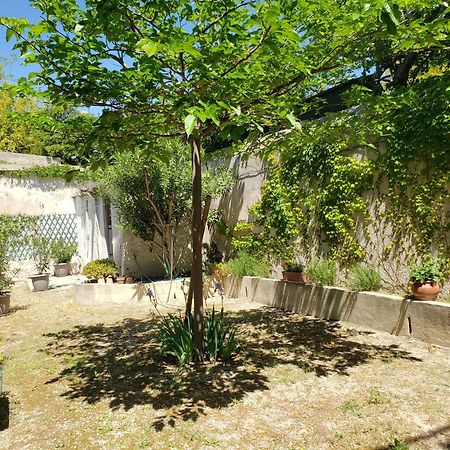 Appartement Au Coeur De Cassis Avec Jardin Bagian luar foto