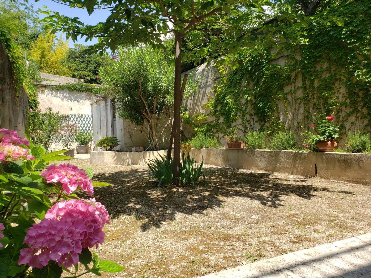 Appartement Au Coeur De Cassis Avec Jardin Bagian luar foto